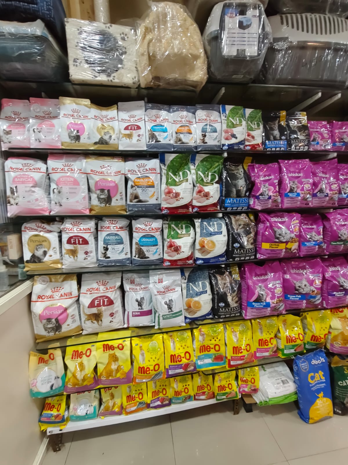 Sarvadnya Pet Care Unit veterinary clinic, Pune